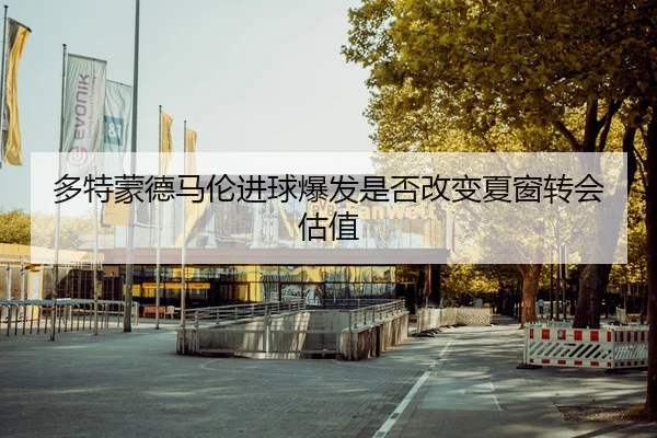 多特蒙德马伦进球爆发是否改变夏窗转会估值